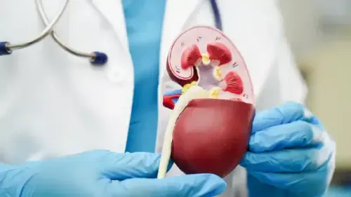 What is a Creatinine Level?